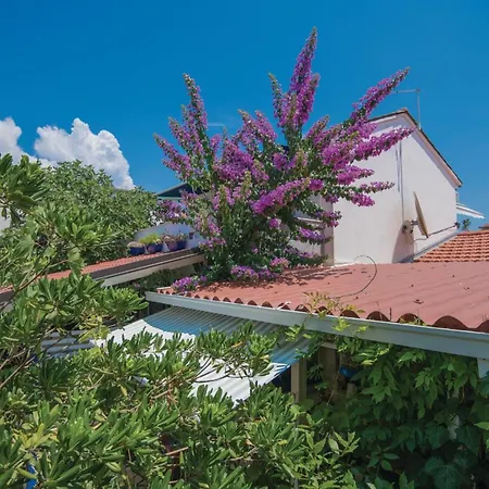 Holiday home 3 Bedroom Amazing Home In Sucuraj